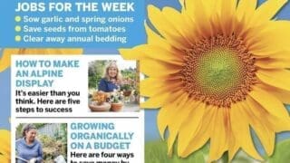 Amateur Gardening Magazine Cover