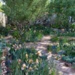The Nurture Landscapes Garden. Designed by Sarah Price. Sponsored by Nurture Landscapes. Show Garden. RHS Chelsea Flower Show 2023. Stand no 323.