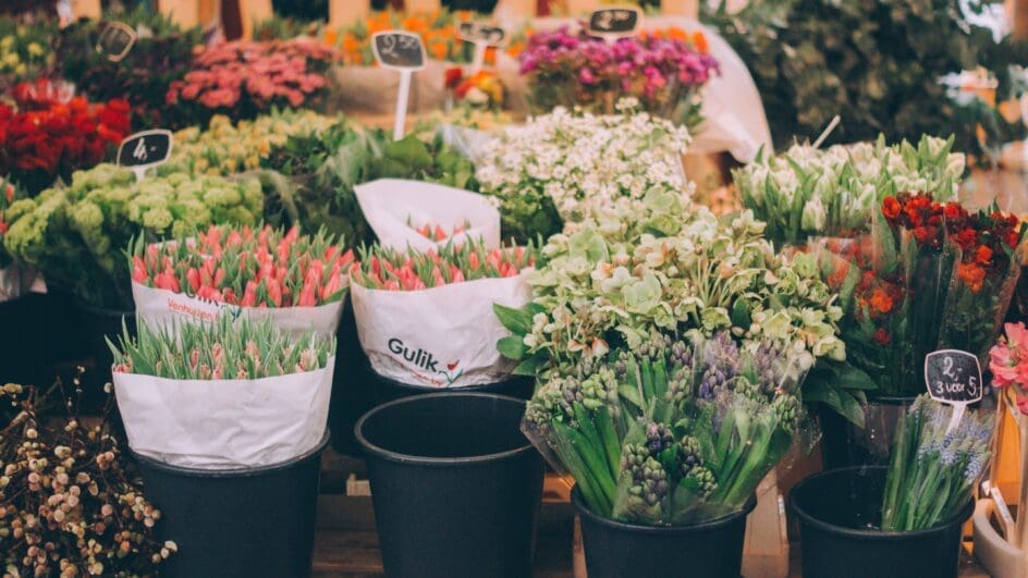 Dutch flower market