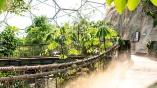 Eden project glasshouse