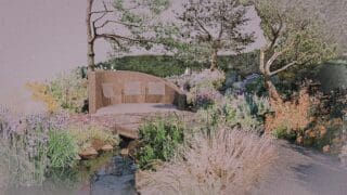 Stroke-Association’s-Garden-For-Recovery Garden RHS CHelsea 2024