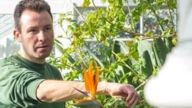 Wayne Williams HEad Gardener Ventnor Botanic Garden