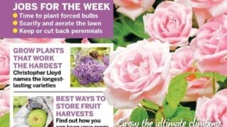 Amateur Gardening Magazine