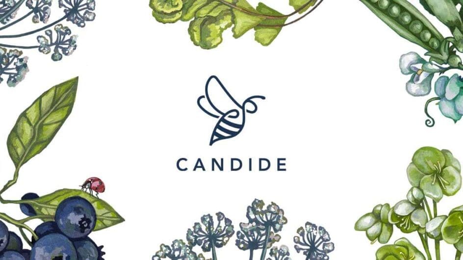 Candide App