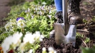 Ames Planting spade