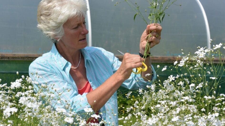 Gill Hodgson founder Flowers From The Farm