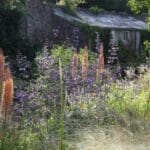 Sarah Price own garden open for the NGS