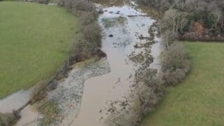 Knepp Wilding River Restoration