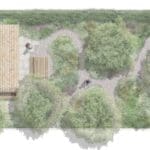 National Garden Scheme RHS Chelsea Garden designed by Tom Stuart-Smith