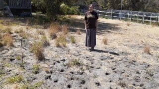 Kathleen Murray Tasmania Ugliest Lawn competition winner