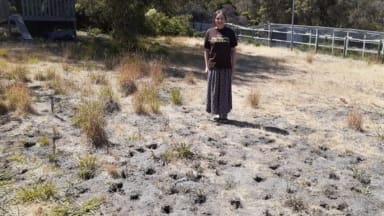 Kathleen Murray Tasmania Ugliest Lawn competition winner