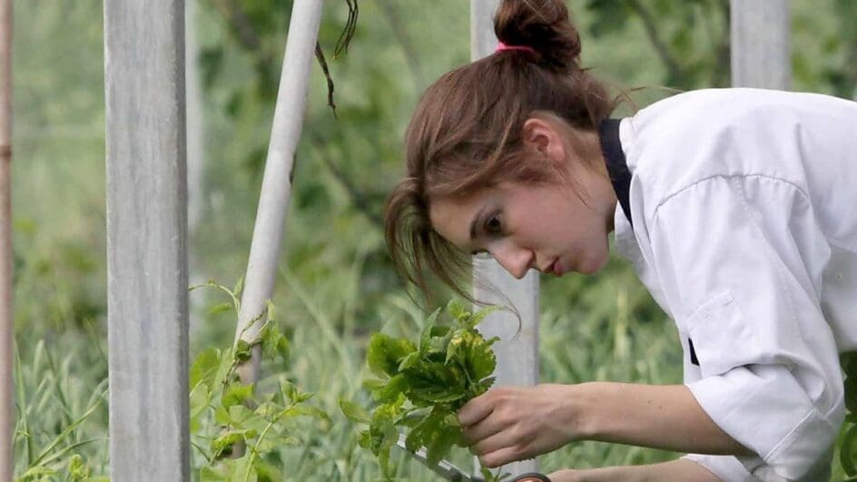 Ballymaloe Cooking School