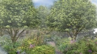 NGS RHS Chelsea Show Garden 2024