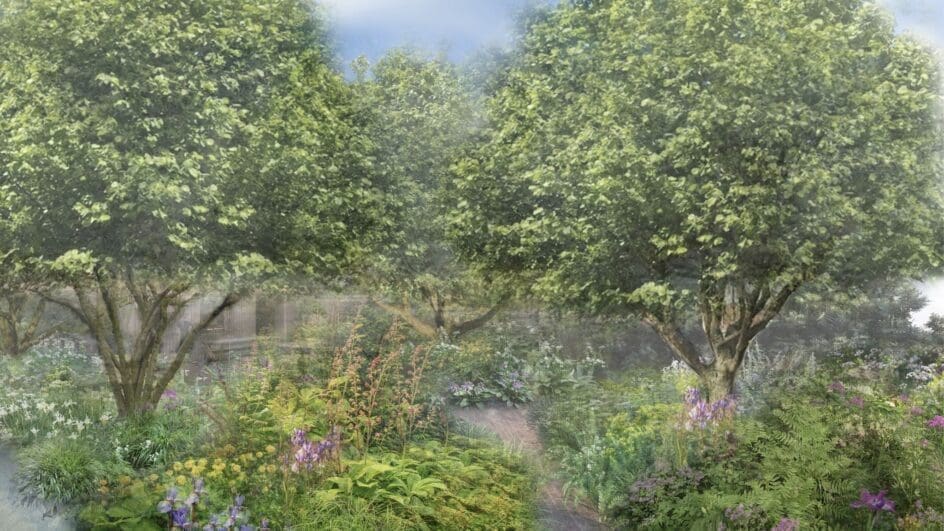 NGS RHS Chelsea Show Garden 2024