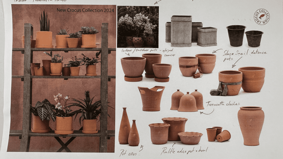 Crocus Collection Terracotta pots for indoors