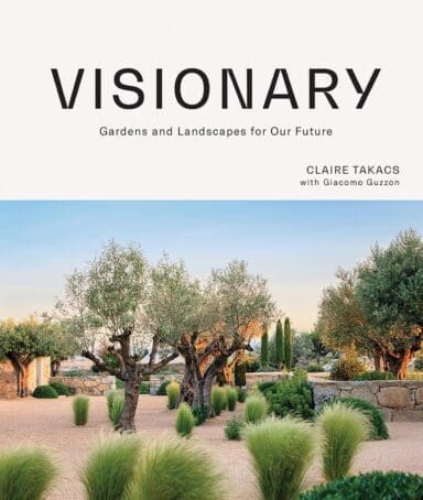 Book Cover Visionary by Claire Takacs