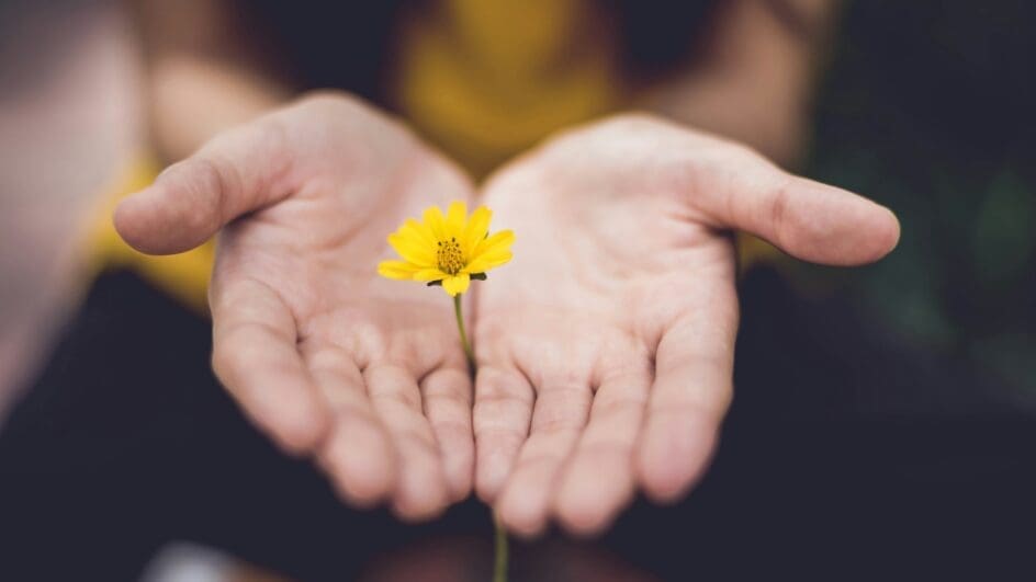 Flower in hands