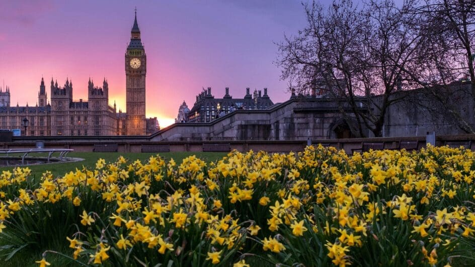 UK government buildings in spring