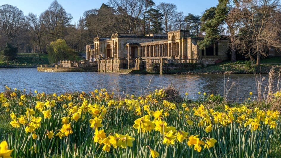Hever Castle Gardens with the daffodils