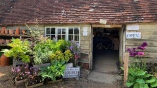 Great Dixter Nursery