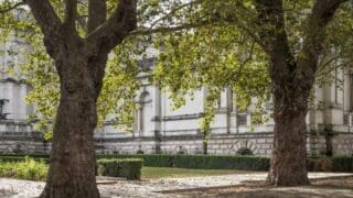 Tate Britain Front Gardens, September 2023