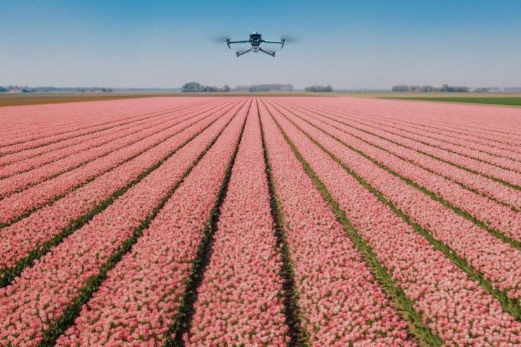 Drone enabled by AI to detect botrytis