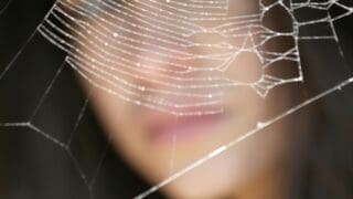 Student looking at a spider web