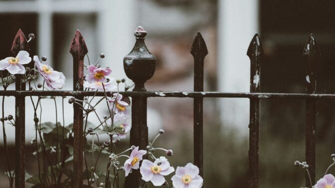 Cottage garden with gate