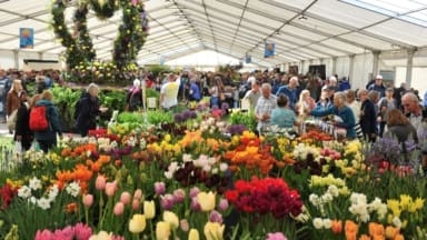 RHS Malvern Spring Festival 2023