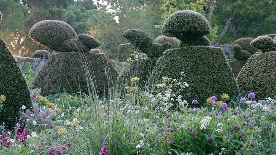 Great Dixter topiary