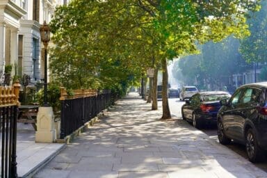 Trees on a london street