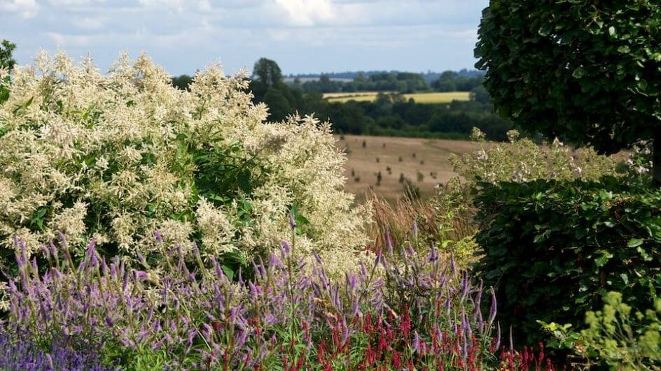 Broughton Grange garden designed by Tom Stuart Smith