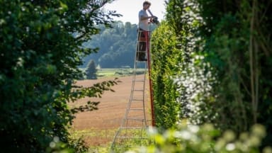 Henchman Ladder