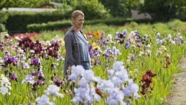 CLAIRE AUSTIN HARDY PLANTS, POWYS - CLAIRE AUSTIN AMONGST HER IRISES