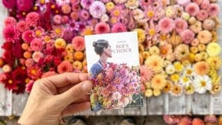 Floret Farm Originals Flower Seeds by Erin Benzakien