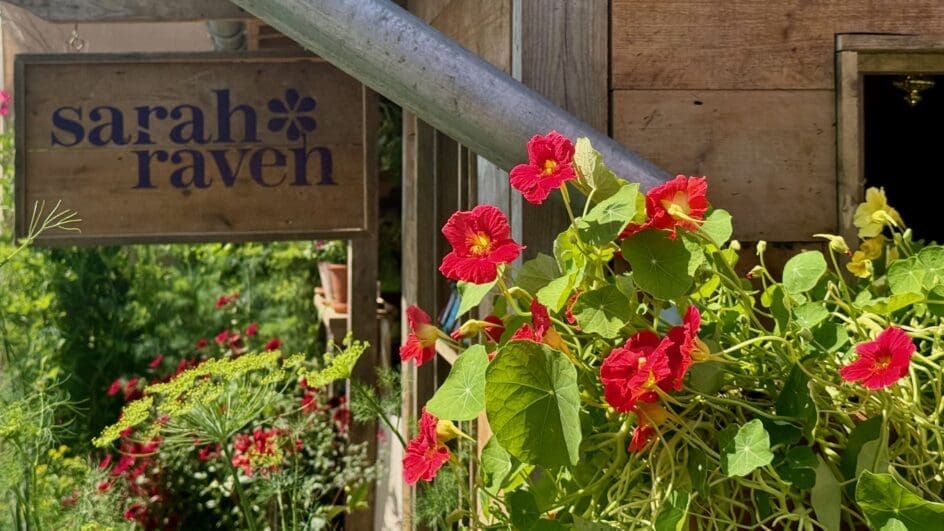 Sarah Raven stand at the RHS Chelsea Flower Show 2024