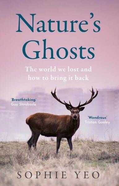 Book cover Nature's Ghosts by Sophie Yeo