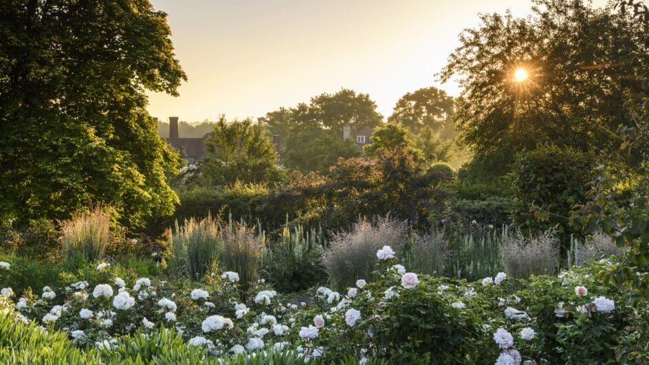 RHS Garden Wisley - The Bowes-Lyon Rose Garden