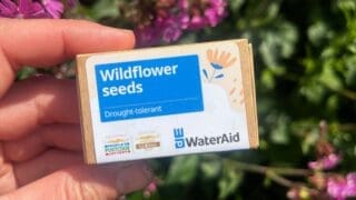 Seedball WaterAid seeds for give aways at the RHS Chelsea Flower Show 2024