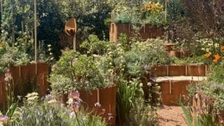 World Child Cancer Nurturing Garden RHS Chelsea 2024