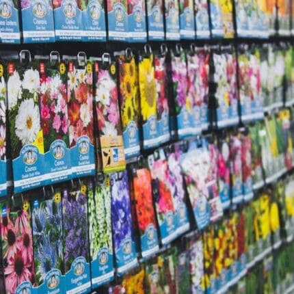 Flower seeds at the garden centre