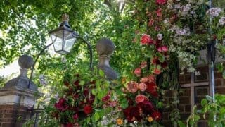 RHS Chelsea Gates 2024 by Poppy Sturley Flowers