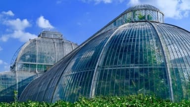 Kew Gardens glass greenhouse