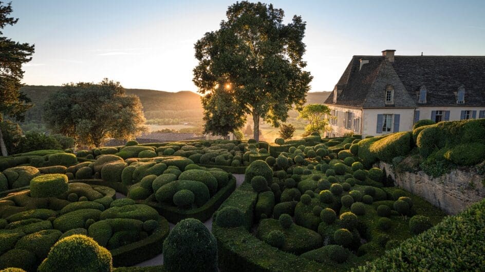 Parterre Illuminated by Andrea Jones RHS Botanical Art and Photography Show 2024