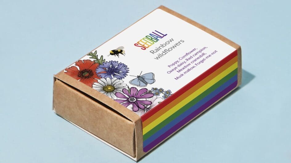 Seedball Rainbow Matchbox with seeds