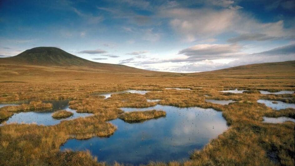 Scotland's Flow Country now World Unesco Heritage site