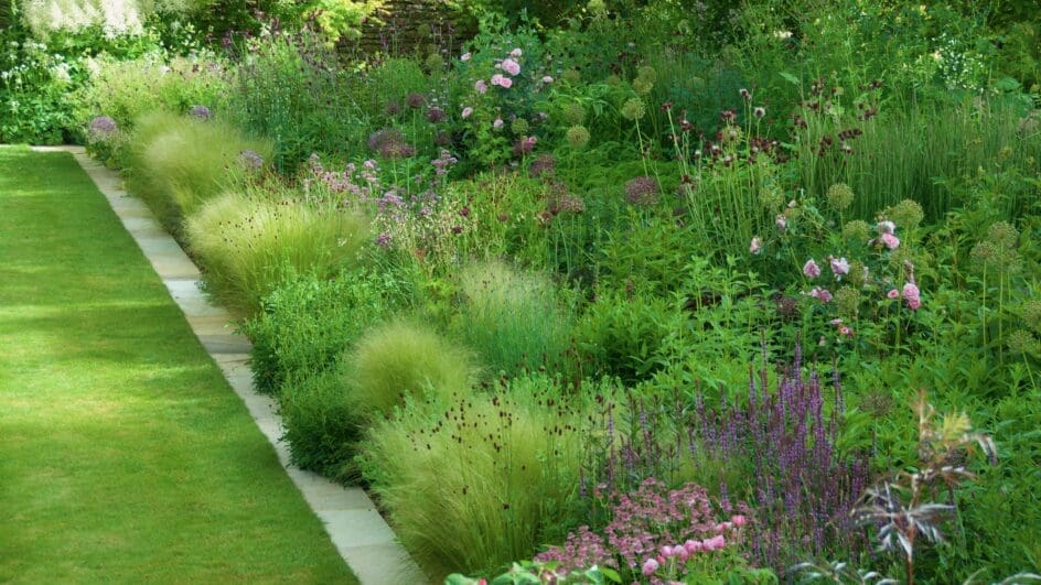 Herbaceous borders