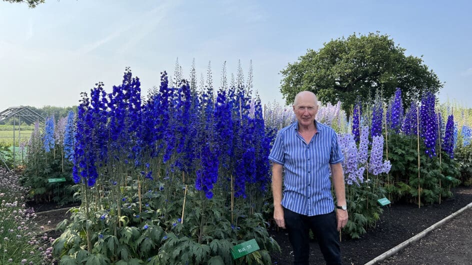 Colin Parton with his National Plant Collection of Delphinium elatum at Delph Cottage Garden in West Yorkshire.