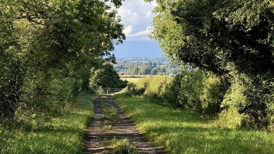 Hedgerows