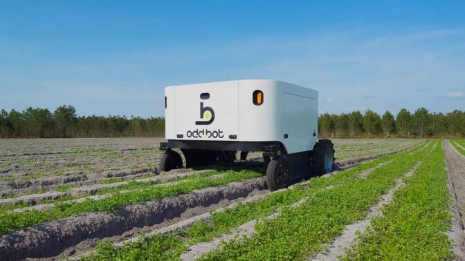 Odd.bot's autonomous robot weeder called Maverick in a field